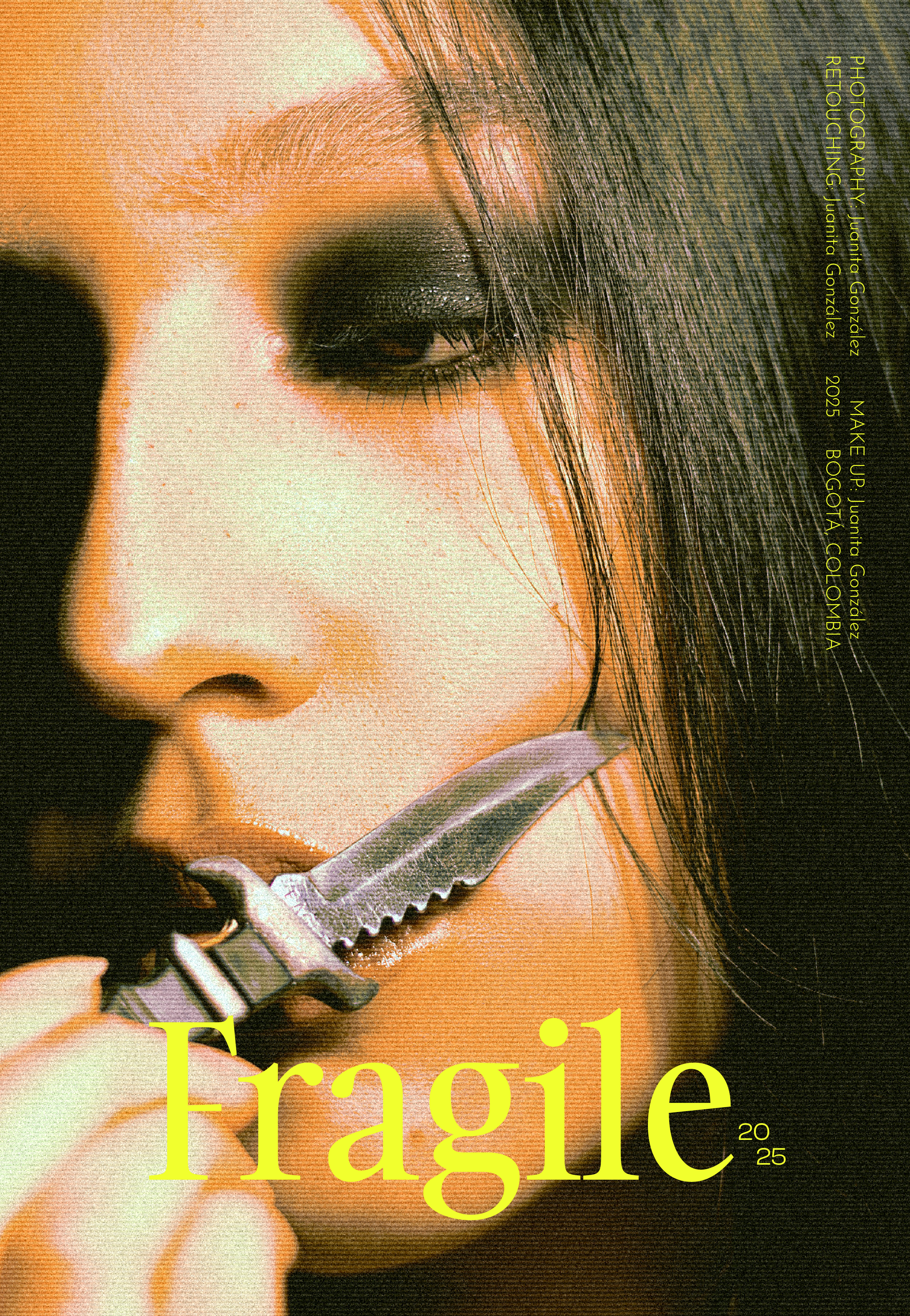 Proyecto Posters — mesa de trabajo