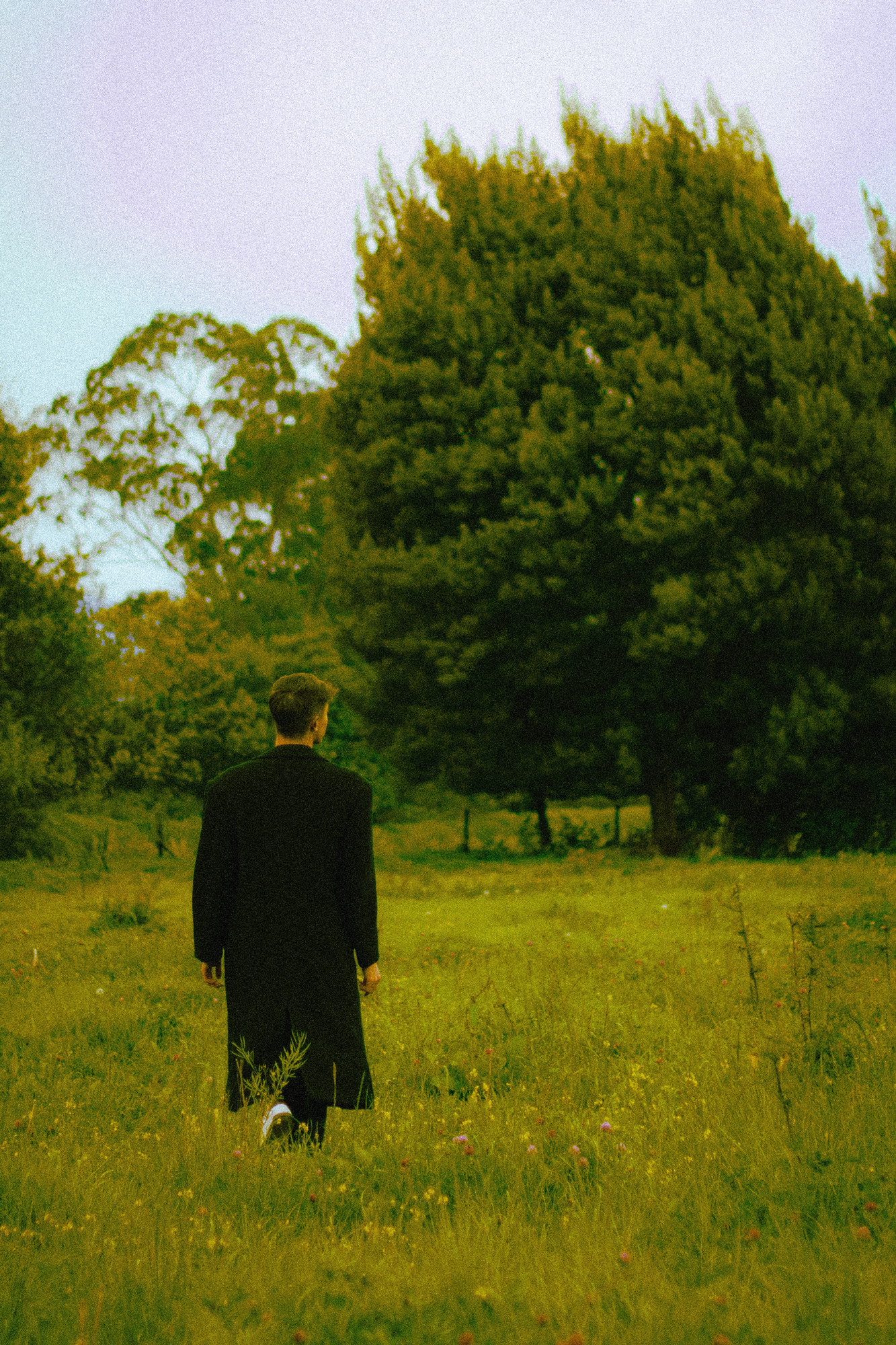 Otros proyectos — prado